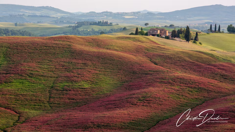 Landscape & Travel · Work 80