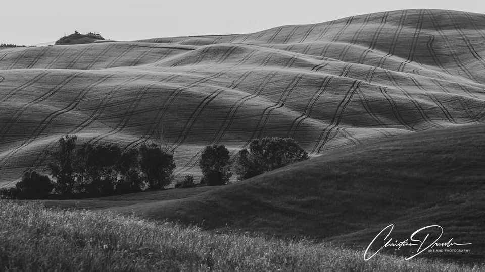 Landscape & Travel · Work 98